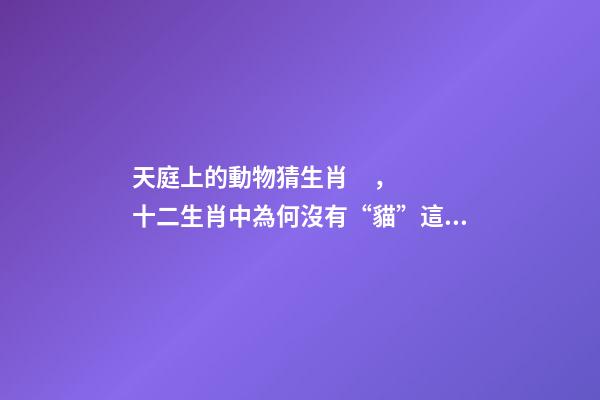 天庭上的動物猜生肖，十二生肖中為何沒有“貓”這一屬相